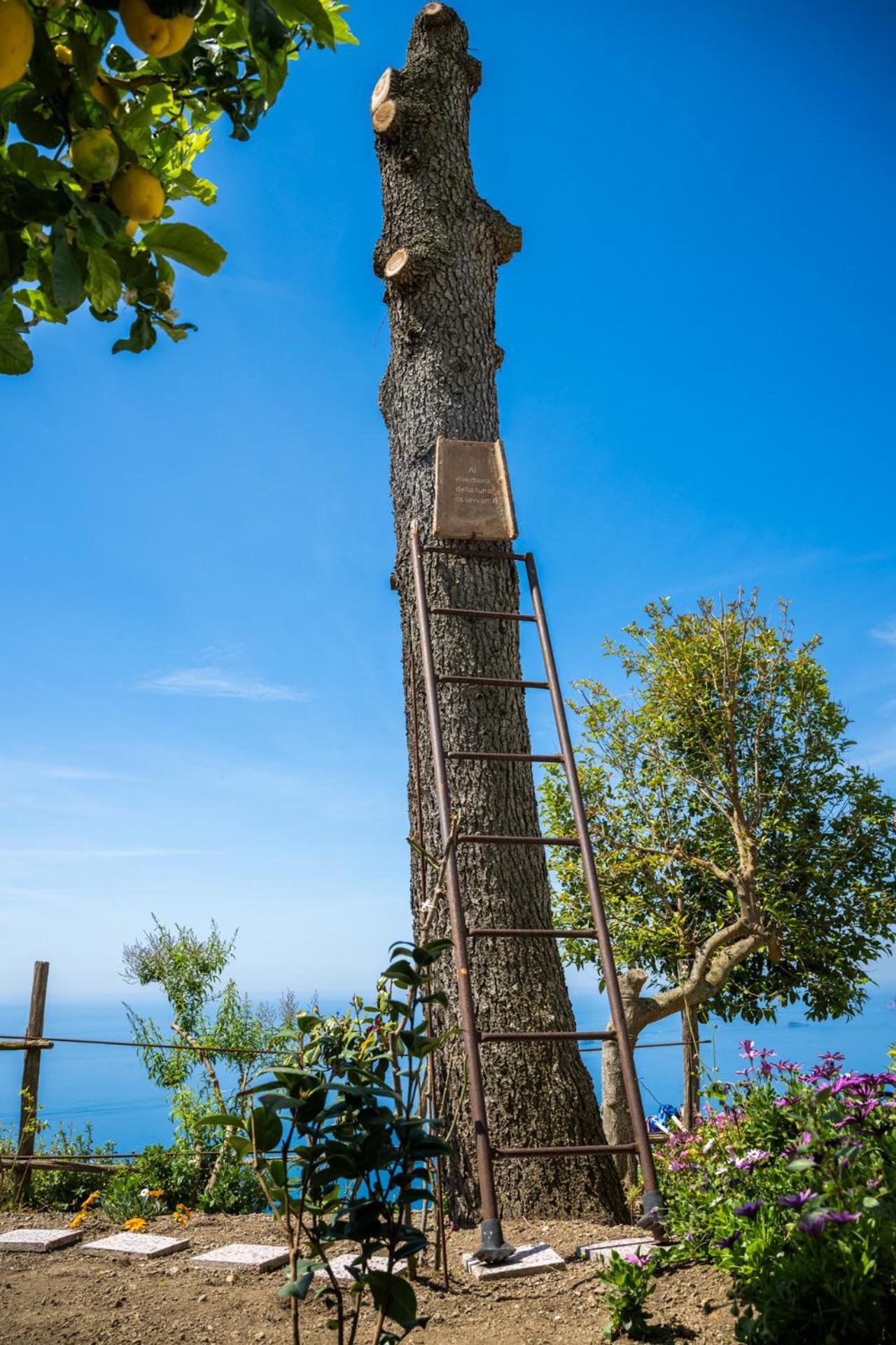 Hotel Dimora Giuela Positano Exteriér fotografie